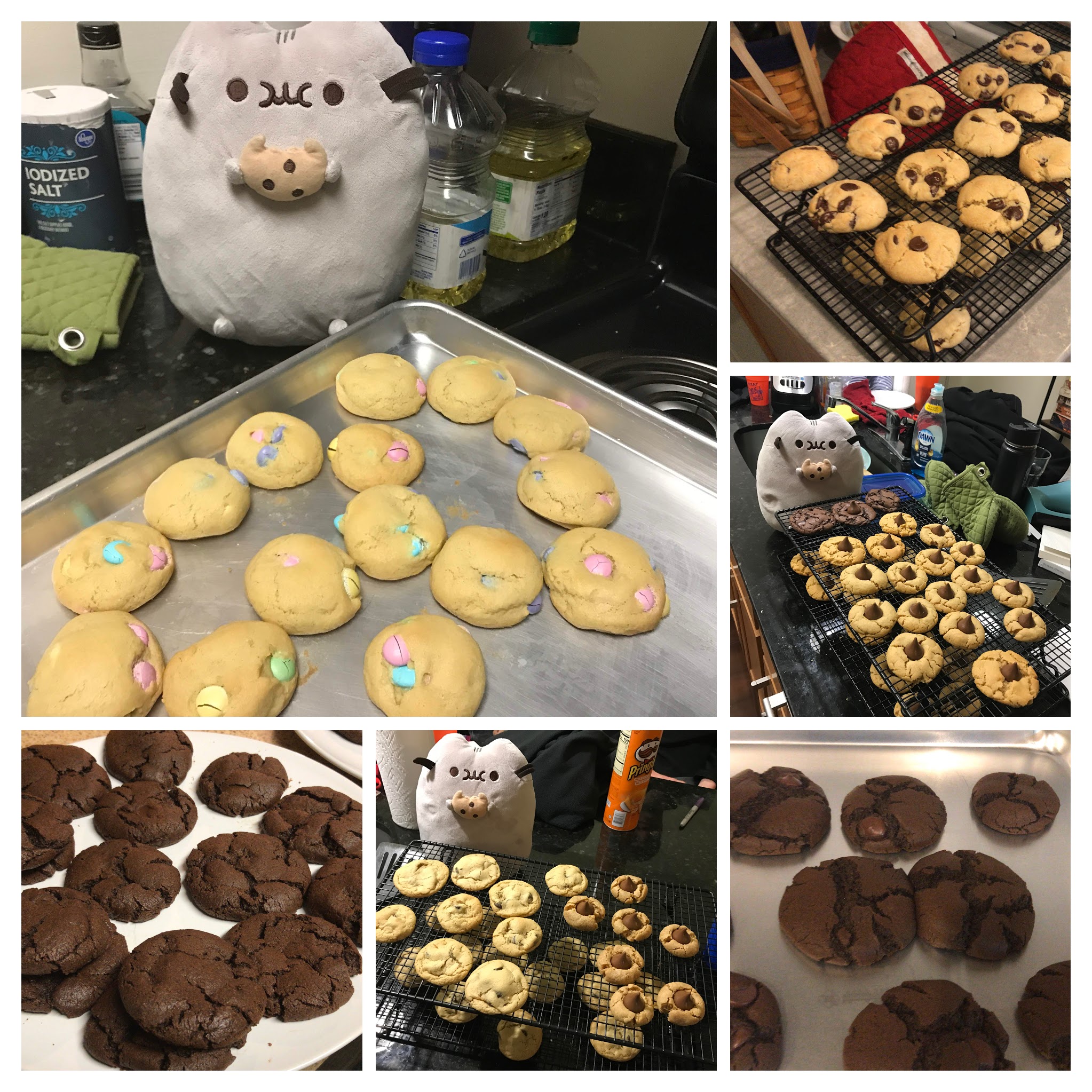 Lots of different cookies